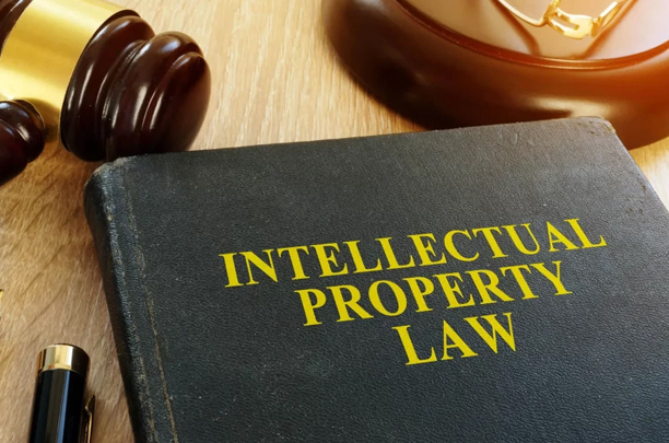 best lawyer for NCLT cases in navi mumbai